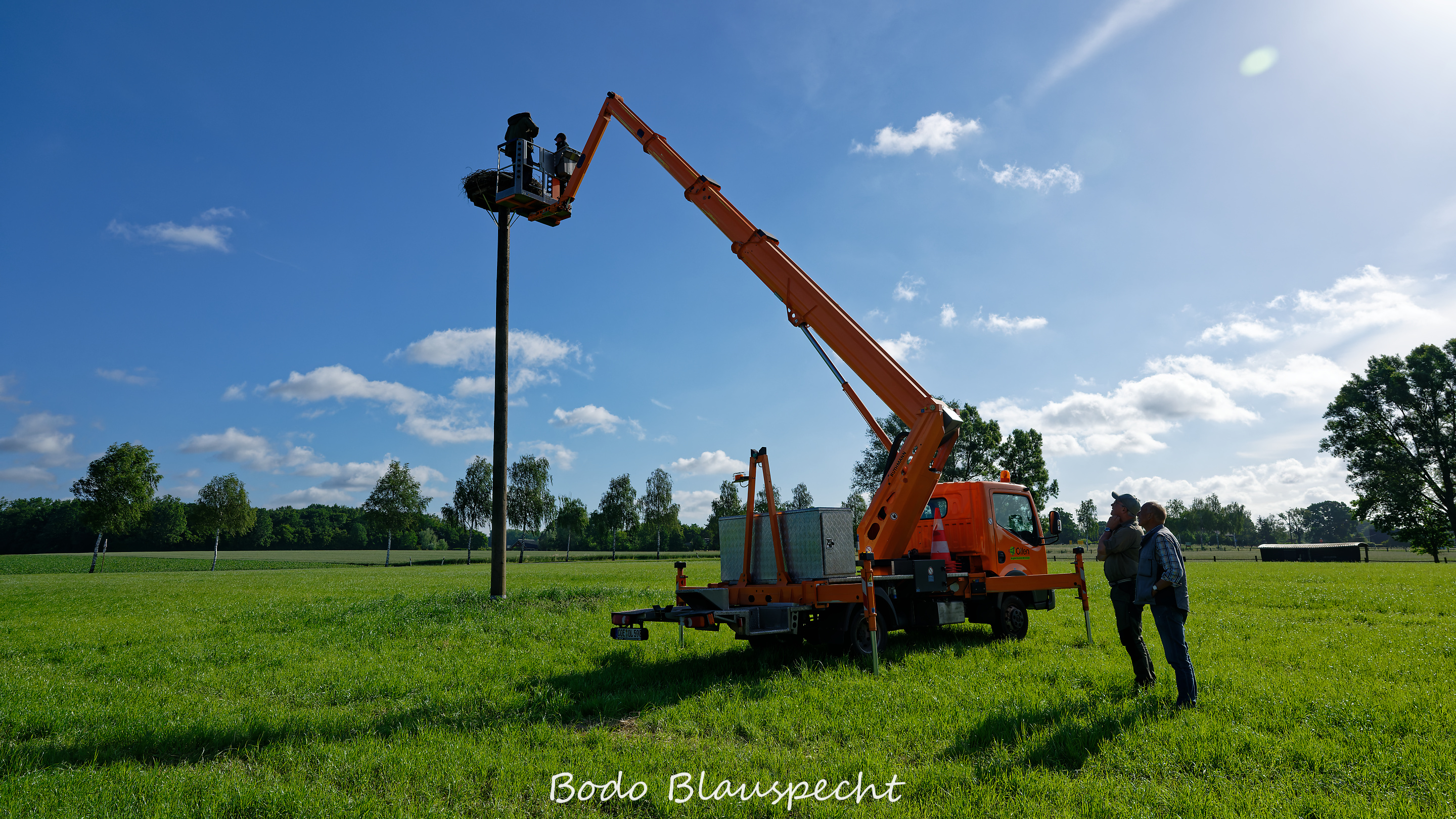 Jungstörche beringen Schulte im Busch 2026.06.10 08.39 02 WEB